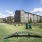 Dog Park